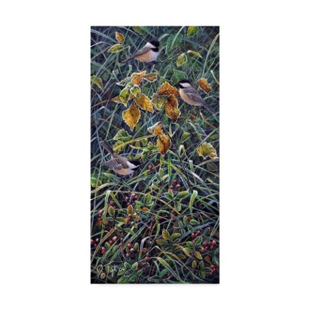 Trademark Fine Art Jeff Tift 'Chickadee' Canvas Art, 12x24 ALI30289-C1224GG